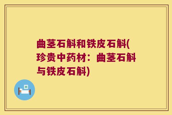 曲茎石斛和铁皮石斛(珍贵材：曲茎石斛与铁皮石斛)