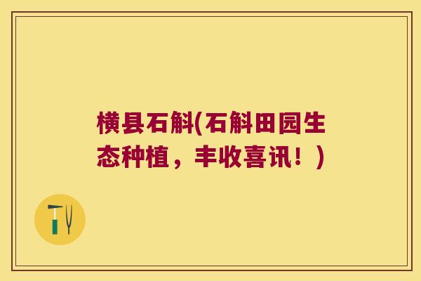 横县石斛(石斛田园生态种植，丰收喜讯！)