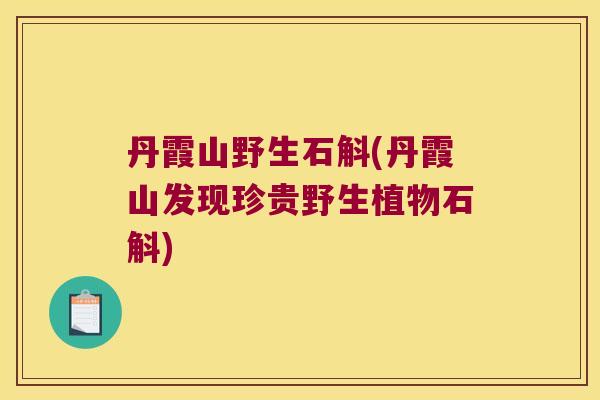 丹霞山野生石斛(丹霞山发现珍贵野生植物石斛)