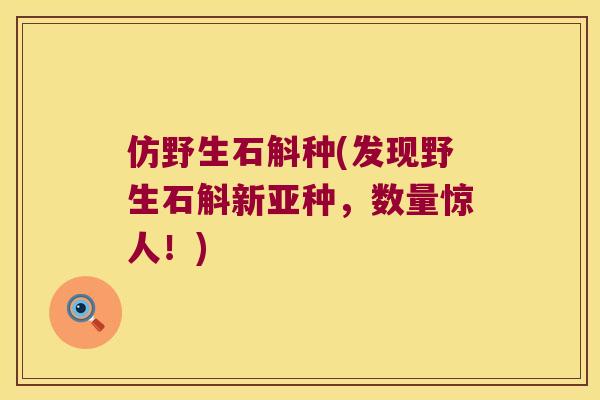 仿野生石斛种(发现野生石斛新亚种，数量惊人！)