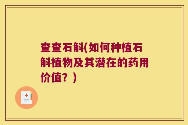 查查石斛(如何种植石斛植物及其潜在的药用价值？)