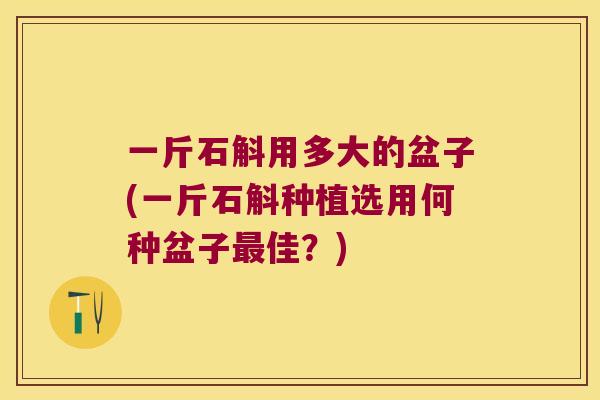 一斤石斛用多大的盆子(一斤石斛种植选用何种盆子最佳？)