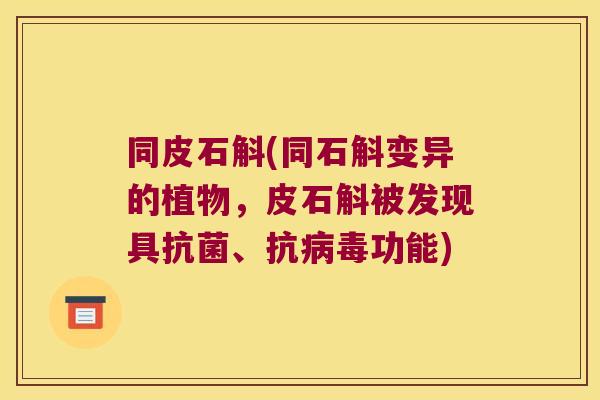 同皮石斛(同石斛变异的植物，皮石斛被发现具抗菌、抗病毒功能)
