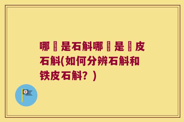 哪種是石斛哪種是鐵皮石斛(如何分辨石斛和铁皮石斛？)