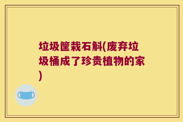 垃圾筐栽石斛(废弃垃圾桶成了珍贵植物的家)
