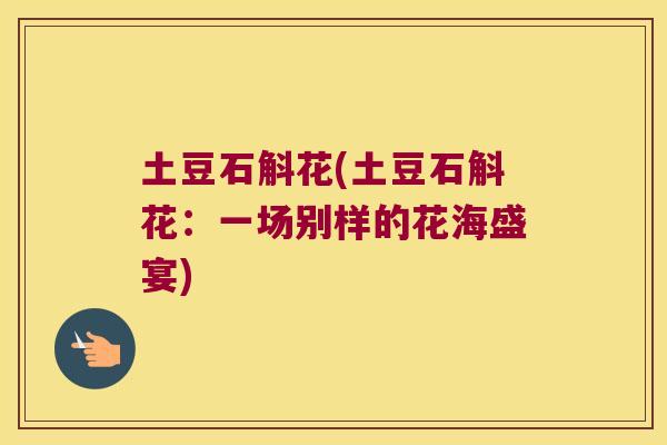 土豆石斛花(土豆石斛花：一场别样的花海盛宴)