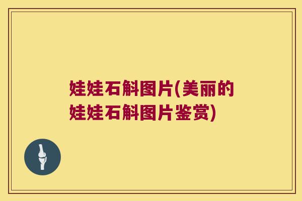 娃娃石斛图片(美丽的娃娃石斛图片鉴赏)