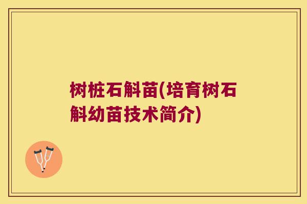 树桩石斛苗(培育树石斛幼苗技术简介)