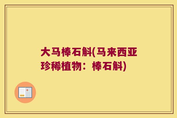 大马棒石斛(马来西亚珍稀植物：棒石斛)