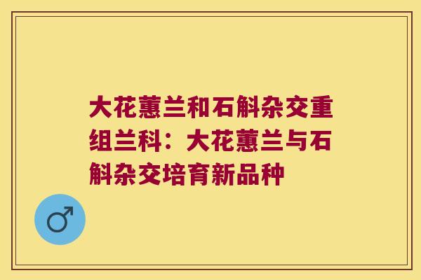 大花蕙兰和石斛杂交重组兰科：大花蕙兰与石斛杂交培育新品种