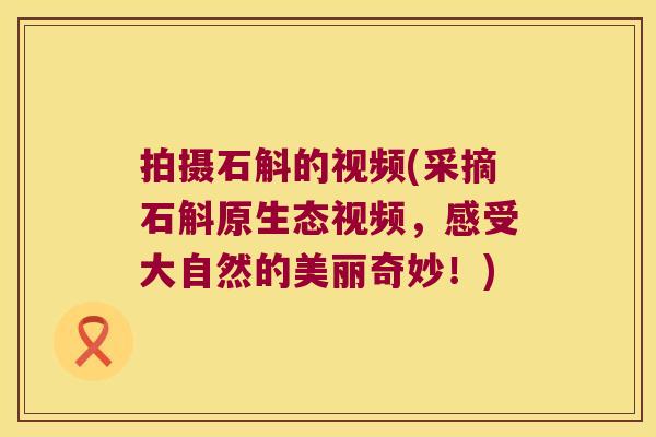 拍摄石斛的视频(采摘石斛原生态视频，感受大自然的美丽奇妙！)