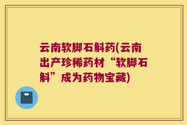云南软脚石斛药(云南出产珍稀药材“软脚石斛”成为药物宝藏)