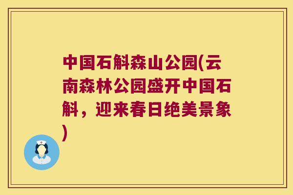 中国石斛森山公园(云南森林公园盛开中国石斛，迎来春日绝美景象)