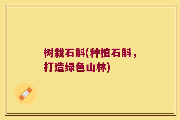 树栽石斛(种植石斛，打造绿色山林)