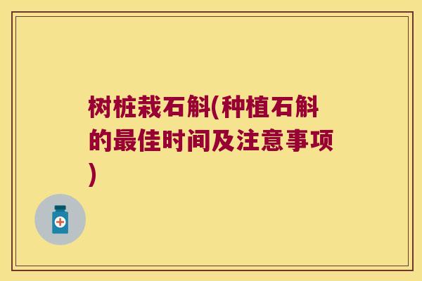 树桩栽石斛(种植石斛的佳时间及注意事项) 树桩栽石斛(种植石斛的佳时间及注意事项)