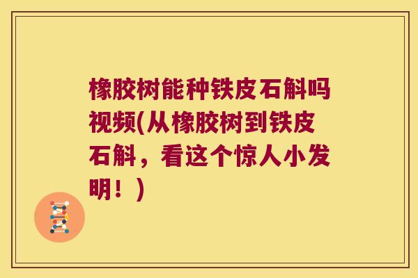 橡胶树能种铁皮石斛吗视频(从橡胶树到铁皮石斛，看这个惊人小发明！)