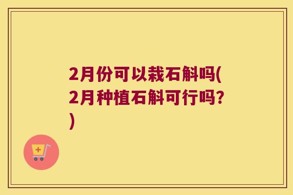 2月份可以栽石斛吗(2月种植石斛可行吗？)