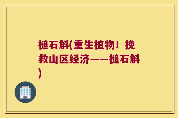 槌石斛(重生植物！挽救山区经济——槌石斛)