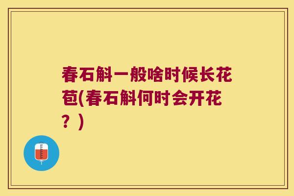 春石斛一般啥时候长花苞(春石斛何时会开花？)