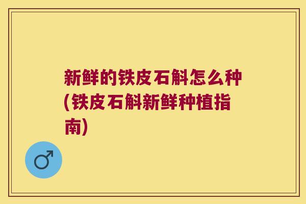 新鲜的铁皮石斛怎么种(铁皮石斛新鲜种植指南)