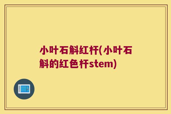 小叶石斛红杆(小叶石斛的红色杆stem)