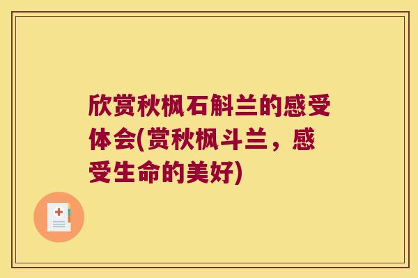 欣赏秋枫石斛兰的感受体会(赏秋枫斗兰，感受生命的美好)