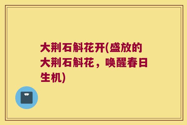 大荆石斛花开(盛放的大荆石斛花，唤醒春日生机)