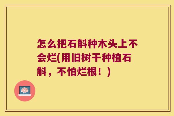 怎么把石斛种木头上不会烂(用旧树干种植石斛,不怕烂根!) 怎么把石斛种木头上不会烂(用旧树干种植石斛,不怕烂根!)