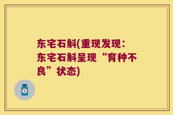 东宅石斛(重现发现：东宅石斛呈现“育种不良”状态)