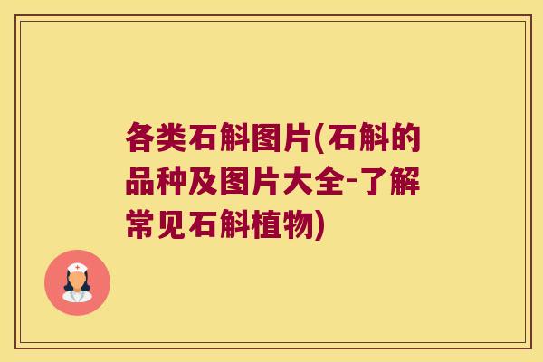 各类石斛图片(石斛的品种及图片大全-了解常见石斛植物)