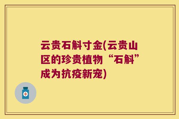 云贵石斛寸金(云贵山区的珍贵植物“石斛”成为抗疫新宠)