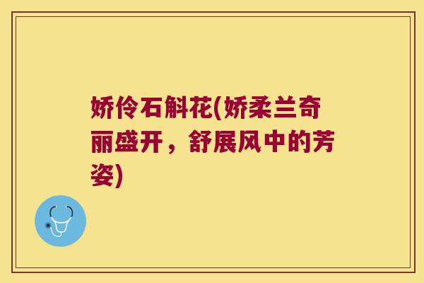 娇伶石斛花(娇柔兰奇丽盛开，舒展风中的芳姿)