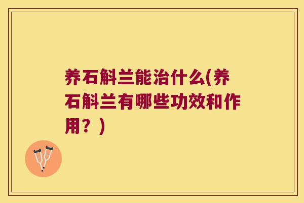 养石斛兰能什么(养石斛兰有哪些功效和作用？)