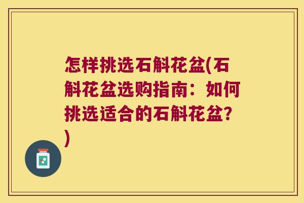 怎样挑选石斛花盆(石斛花盆选购指南：如何挑选适合的石斛花盆？)