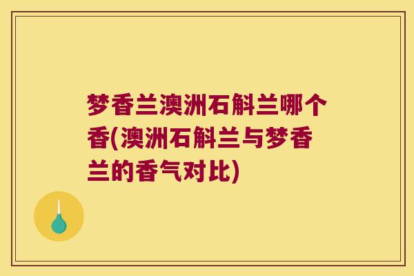 梦香兰澳洲石斛兰哪个香(澳洲石斛兰与梦香兰的香气对比)