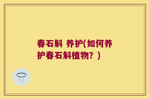 春石斛 养护(如何养护春石斛植物?) 春石斛 养护(如何养护春石斛植物?)