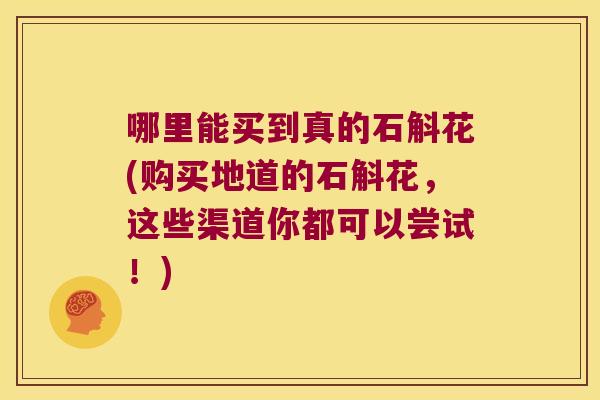 哪里能买到真的石斛花(购买地道的石斛花，这些渠道你都可以尝试！)