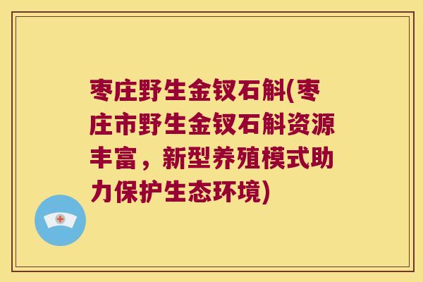 枣庄野生金钗石斛(枣庄市野生金钗石斛资源丰富,新型养殖模式助力保护生态环境) 枣庄野生金钗石斛(枣庄市野生金钗石斛资源丰富,新型养殖模式助力保护生态环境)