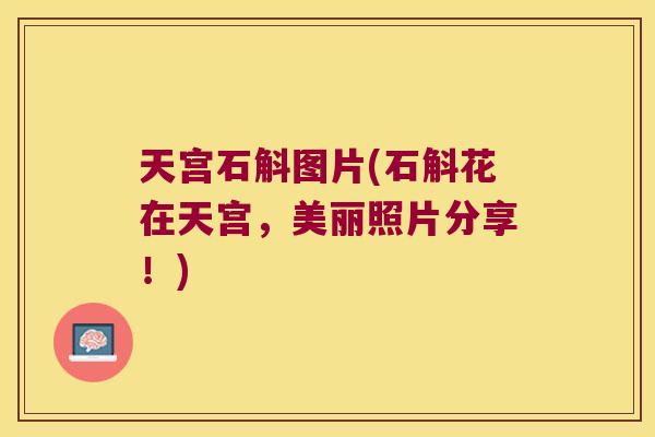 天宫石斛图片(石斛花在天宫，美丽照片分享！)