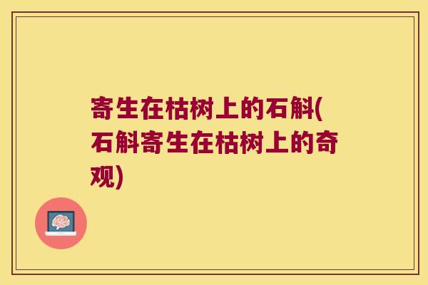 寄生在枯树上的石斛(石斛寄生在枯树上的奇观)