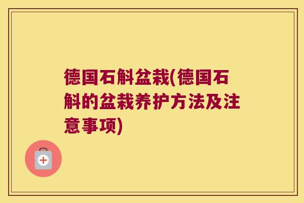德国石斛盆栽(德国石斛的盆栽养护方法及注意事项)