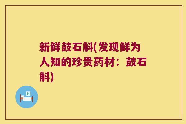 新鲜鼓石斛(发现鲜为人知的珍贵药材:鼓石斛) 新鲜鼓石斛(发现鲜为人知的珍贵药材:鼓石斛)
