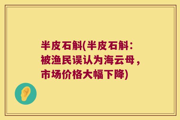 半皮石斛(半皮石斛：被渔民误认为海云母，市场价格大幅下降)