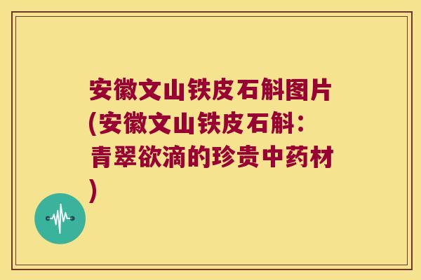 安徽文山铁皮石斛图片(安徽文山铁皮石斛：青翠欲滴的珍贵材)