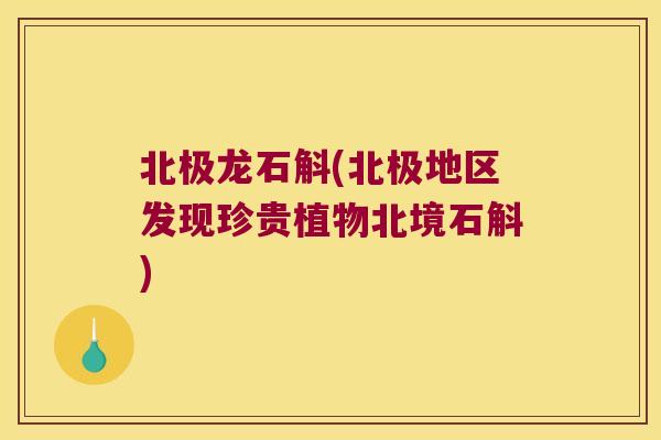 北极龙石斛(北极地区发现珍贵植物北境石斛)