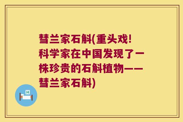 彗兰家石斛(重头戏!科学家在中国发现了一株珍贵的石斛植物——彗兰家石斛)