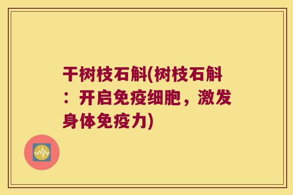 干树枝石斛(树枝石斛：开启细胞，激发身体力)
