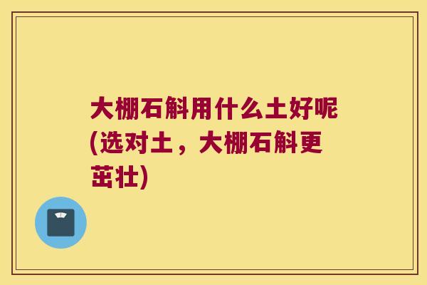 大棚石斛用什么土好呢(选对土，大棚石斛更茁壮)