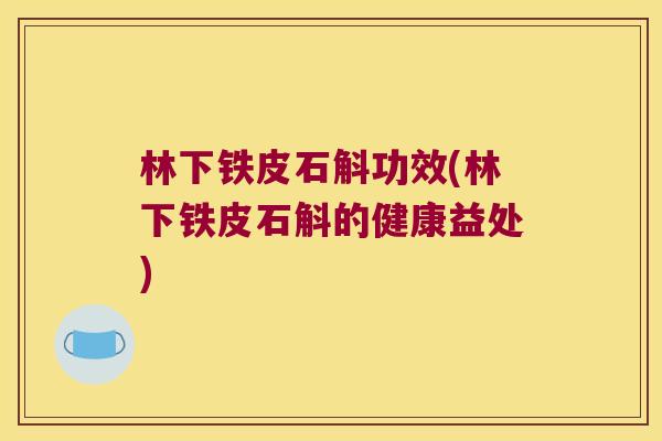 林下铁皮石斛功效(林下铁皮石斛的健康益处)