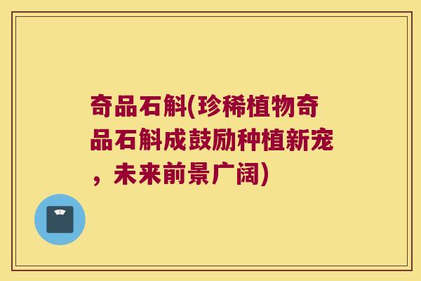 奇品石斛(珍稀植物奇品石斛成鼓励种植新宠，未来前景广阔)